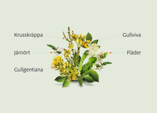 Fem medicinalväxter som hjälper mot bihåleinflammation